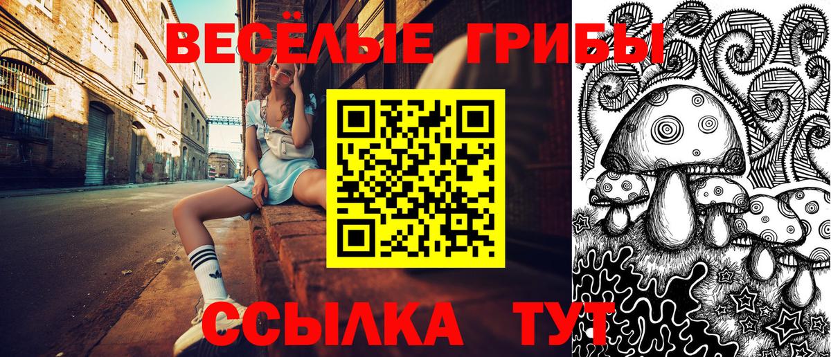Галлюциногенные грибы Psilocybe Лабытнанги