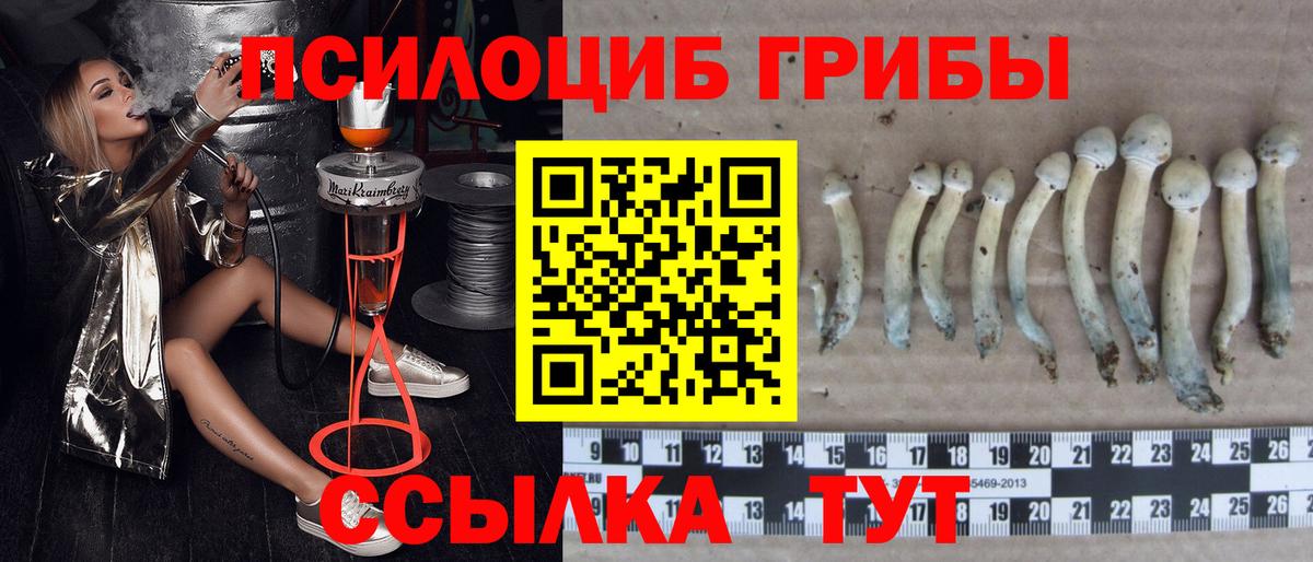 сколько стоит  Псилоцибиновые грибы Magic Shrooms  Вход с VPN  Лабытнанги  Галлюциногенные грибы ЛСД 